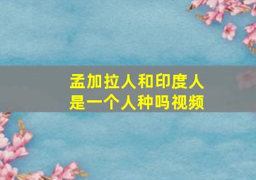 孟加拉人和印度人是一个人种吗视频