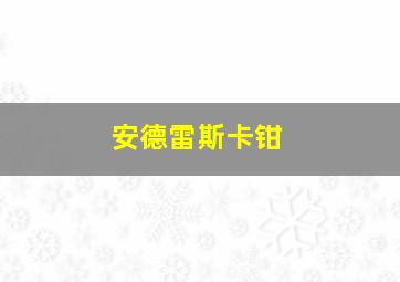 安德雷斯卡钳