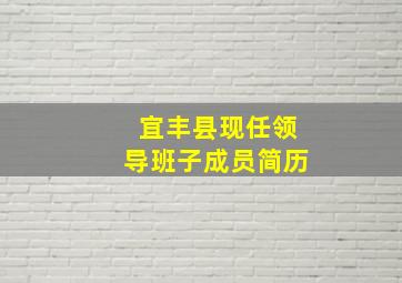 宜丰县现任领导班子成员简历