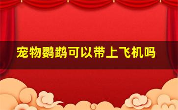 宠物鹦鹉可以带上飞机吗