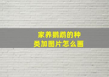 家养鹦鹉的种类加图片怎么画