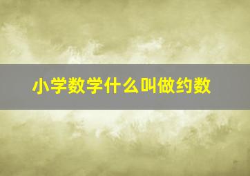 小学数学什么叫做约数