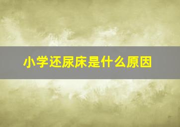 小学还尿床是什么原因