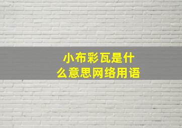 小布彩瓦是什么意思网络用语