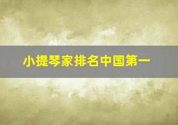 小提琴家排名中国第一