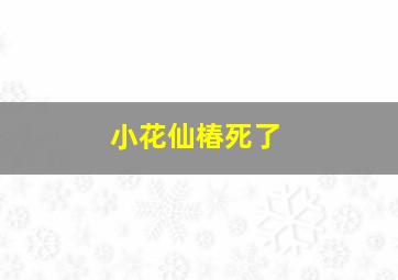 小花仙椿死了