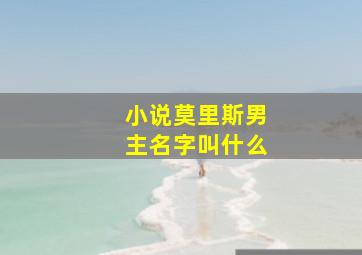 小说莫里斯男主名字叫什么