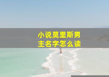 小说莫里斯男主名字怎么读