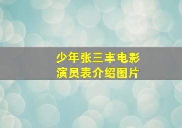 少年张三丰电影演员表介绍图片