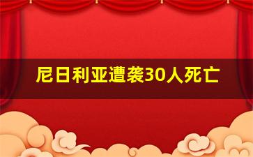 尼日利亚遭袭30人死亡