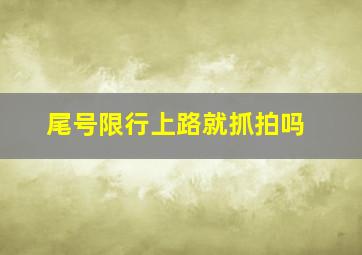 尾号限行上路就抓拍吗