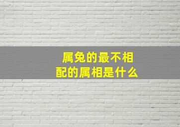 属兔的最不相配的属相是什么