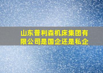 山东普利森机床集团有限公司是国企还是私企