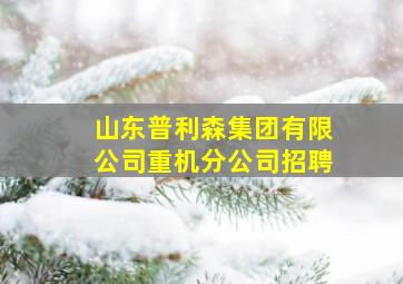 山东普利森集团有限公司重机分公司招聘