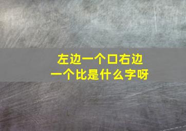 左边一个口右边一个比是什么字呀