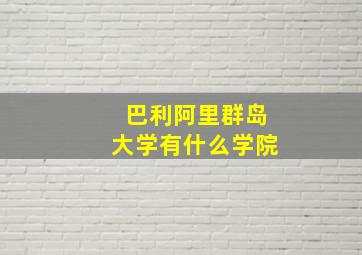 巴利阿里群岛大学有什么学院