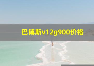 巴博斯v12g900价格