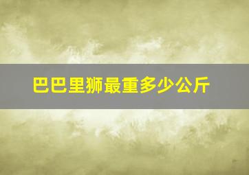 巴巴里狮最重多少公斤