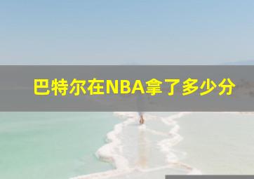 巴特尔在NBA拿了多少分