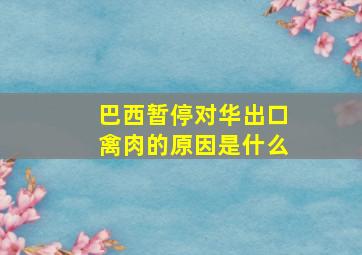 巴西暂停对华出口禽肉的原因是什么