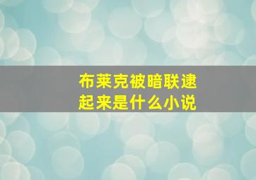 布莱克被暗联逮起来是什么小说