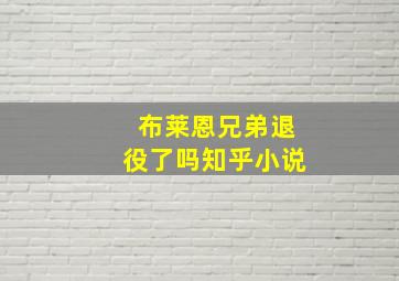 布莱恩兄弟退役了吗知乎小说