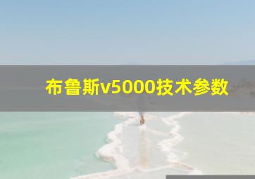 布鲁斯v5000技术参数