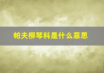 帕夫柳琴科是什么意思