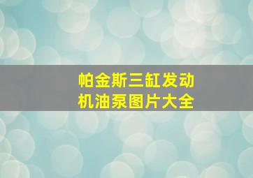 帕金斯三缸发动机油泵图片大全