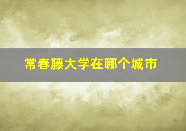 常春藤大学在哪个城市