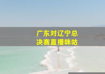 广东对辽宁总决赛直播咪咕