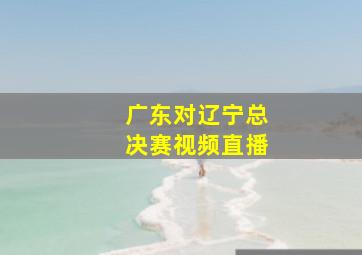 广东对辽宁总决赛视频直播