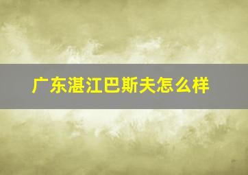 广东湛江巴斯夫怎么样