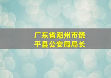 广东省潮州市饶平县公安局局长