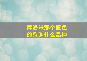 库洛米那个蓝色的狗叫什么品种