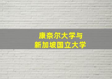 康奈尔大学与新加坡国立大学