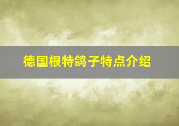 德国根特鸽子特点介绍