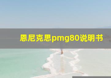 恩尼克思pmg80说明书