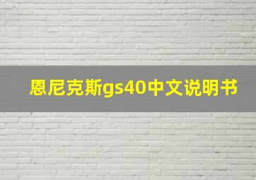 恩尼克斯gs40中文说明书