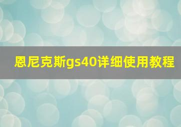 恩尼克斯gs40详细使用教程