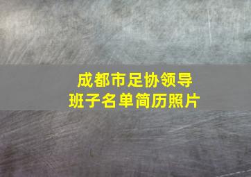 成都市足协领导班子名单简历照片