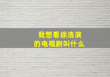 我想看徐浩演的电视剧叫什么