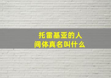 托雷基亚的人间体真名叫什么