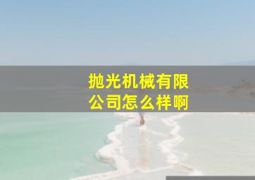 抛光机械有限公司怎么样啊