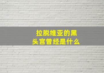 拉脱维亚的黑头宫曾经是什么