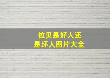 拉贝是好人还是坏人图片大全