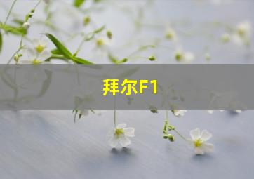 拜尔F1