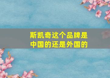 斯凯奇这个品牌是中国的还是外国的