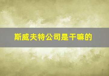 斯威夫特公司是干嘛的