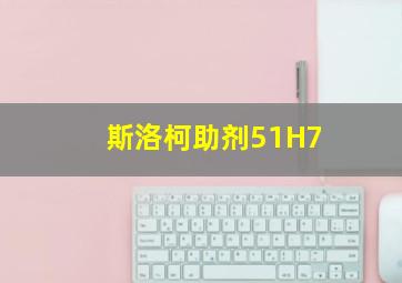 斯洛柯助剂51H7